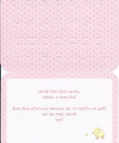 Alternative view of Felicitatiekaart geboorte meisje