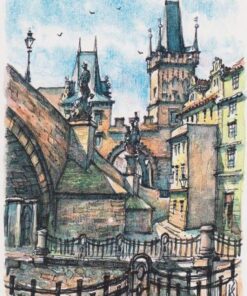 Praag: onder de Karelsbrug